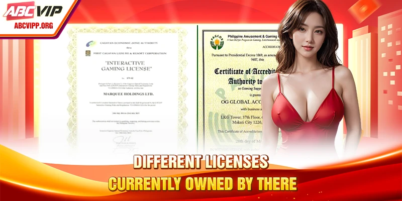 Different licenses currently owned by there